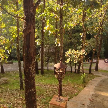 Crisol * 阿雷纳斯德圣佩德罗