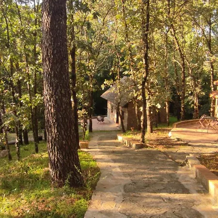 Crisol 阿雷纳斯德圣佩德罗