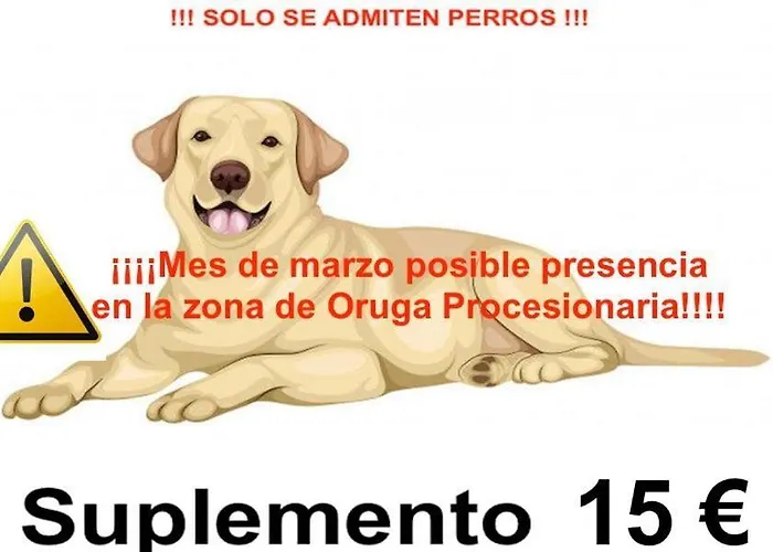 Crisol Casa rural Arenas de San Pedro